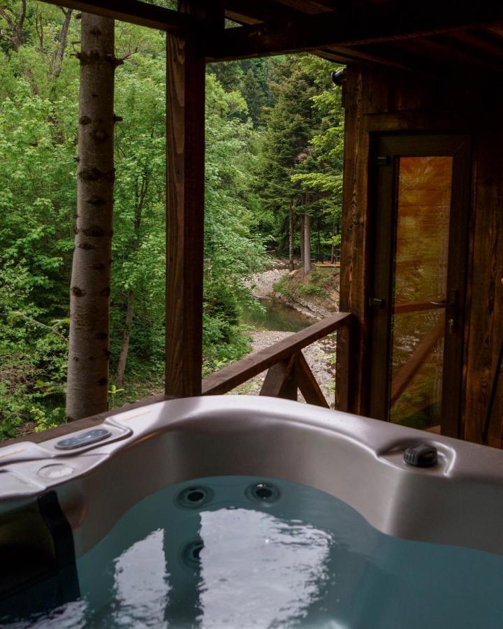 Novosiele Residence - Nad Gorska Rzeka - Lesne Spa Sauna Jacuzzi - Bieszczady Bystre  Exteriör bild